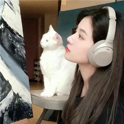 灵犬莱西