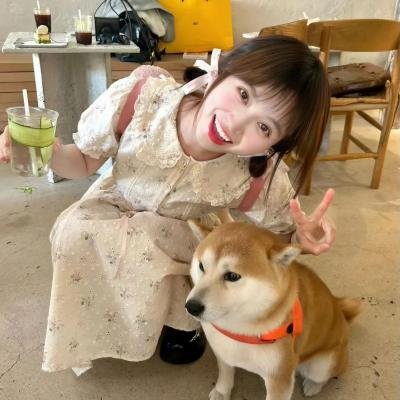 钢琴之森